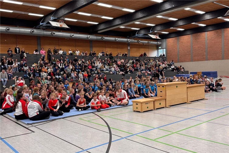 Über 200 Mädchen und Jungen wetteiferten beim Kreisjugendturnfest in verschiedenen Disziplinen. Foto: Marion Klein