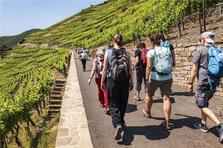 Über 40 Wanderfans nahmen an Fronleichnam an der Großen Gipfelrunde zur Adenbachhütte teil.  Foto:Markus Werner