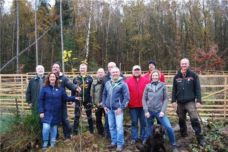 Über 4000 Bäume konnten durch die Aktion „Bäume statt Bonbons 2021“ gepflanzt werden. Foto: privat