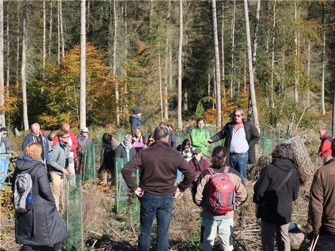 Über 50 Waldinteressierte folgten der Einladung von Bündnis 90/Die Grünen Höhr-Grenzhausen und Hillscheid zur Waldexkursion.Foto: privat