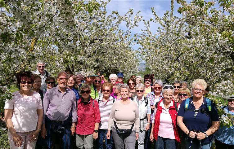 Über 50 Wanderfreunde erlebten den Frühlingsbeginn in voller Pracht.Foto: privat