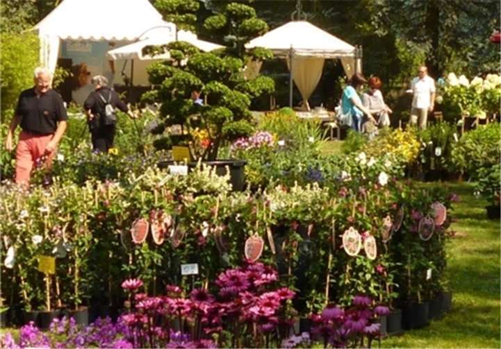 Über Heil- und Giftpflanzen bis zu Rosen in allen Variationen kann man z.B. auf dem Gartenfestival bestaunen und erwerben. privat