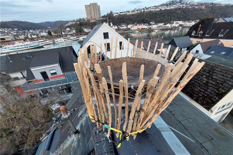 Über den Dächern von Niederwerth: Storchennest („Rohbau“) auf flachgestellter Sat- Schüssel.  Fotos: Stefan Krumme