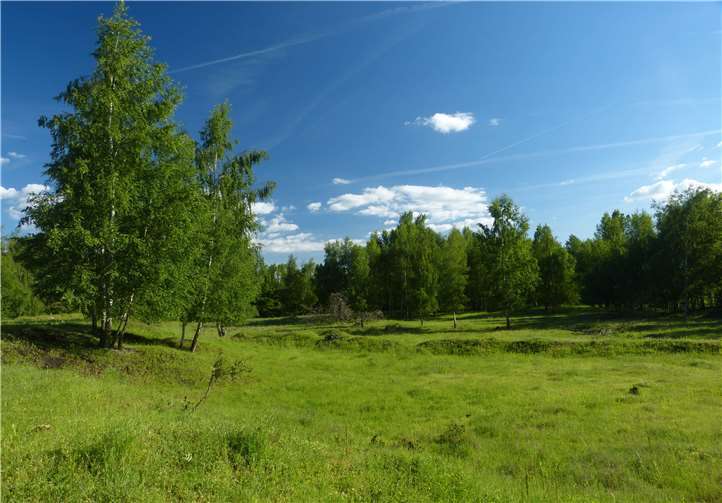 Überblick über die Concordia Sandhalde.