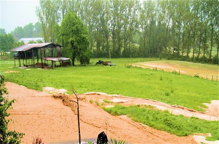 Welchen Stellenwert hat Artenschutz, Hochwasser- und Starkregenvorsorge? Überschwemmung der Sevenicher Wiese bei Regen. Foto: Gavin Grosvenor