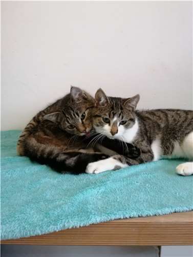 Ulli und Polki. Fotos: privat