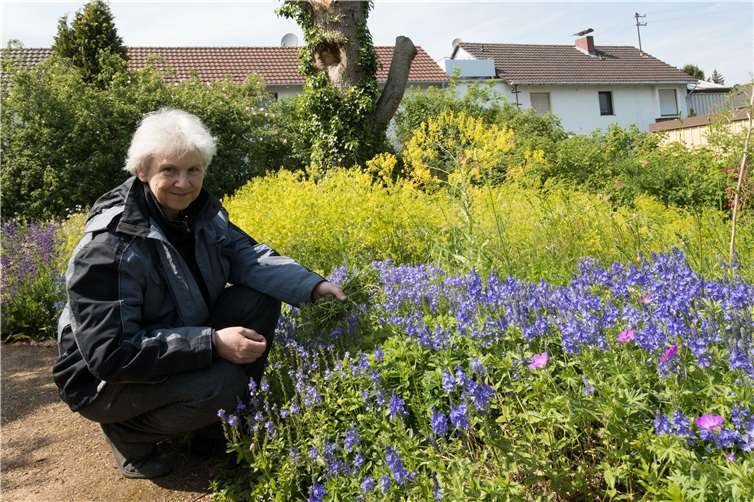 Ulrike Aufderheide erklärt die Zusammenhänge zwischen naturnaher Pflanzung und der Nahrungskette, zu denen auch die unbeliebten Blattläuse gehören.