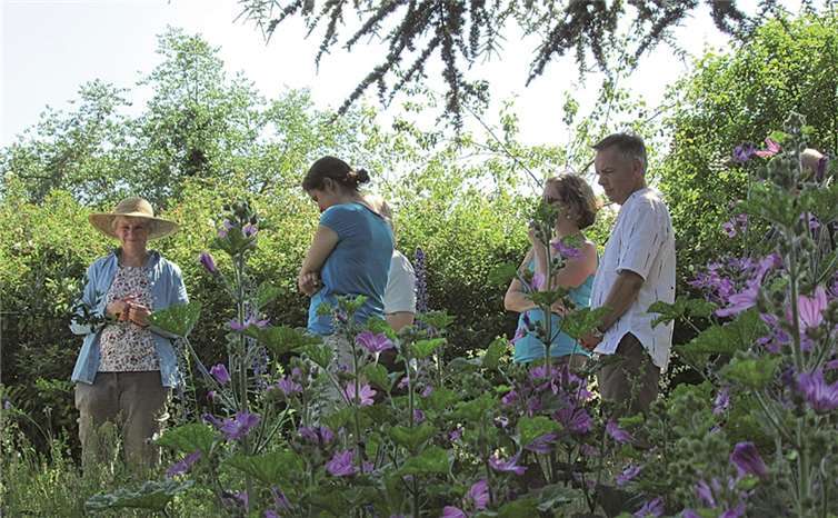 Ulrike Aufderheide mit Besuchern im „Naturnahen Schaugarten“. Birte Kümpel