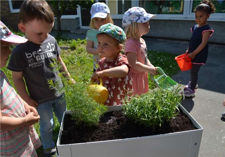 Um den Bienen bei der Pollensuche zu unterstützen, säten die Kinder eine Bienenwiese an verschiedenen Stellen im Garten der Kita.Foto: privat