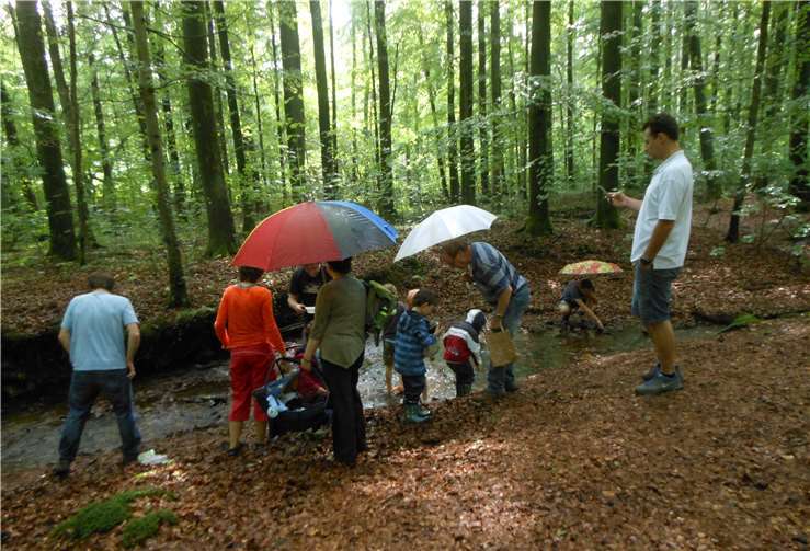 Um den „Lebensraum Fließgewässer“ geht es für Kinder ab fünf Jahren am 5. Mai. privat