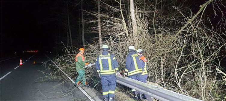 Umgestürzte Bäume auf der L 331.