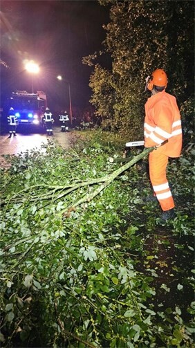 Umgestürzter Baum auf der Berghausener Straße wird von der Einheit Uthweiler beseitigt