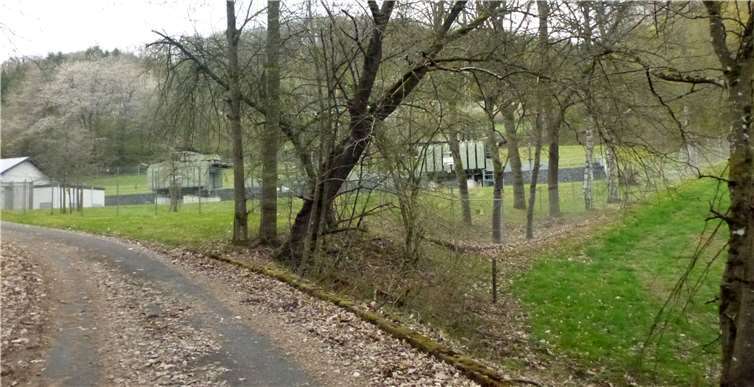 Umspannanlage in Adenau. Foto: Winfried Sander, Leimbach