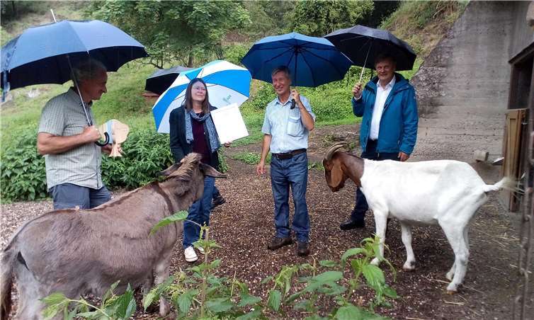 Umweltministerin Ulrike Höfken überreicht die Auszeichnung. v.l.n.r. Günter Hahn (NABU), Umweltministerin Ulrike Höfken, Dr. Johannes Leonhard (NABU) und Dr. Ulrich Kleemann (SGD Nord). Fotos: Dr. Leonhard