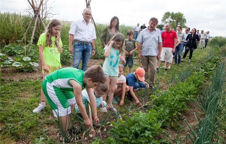 Umweltministerin Ulrike Höfken und CDU Chef Michael Schneider besuchten seinerzeit die Frankensiedlung. Viel Lob und Anerkennung für das Projekt von allen Seiten.Foto: Volker Jost
