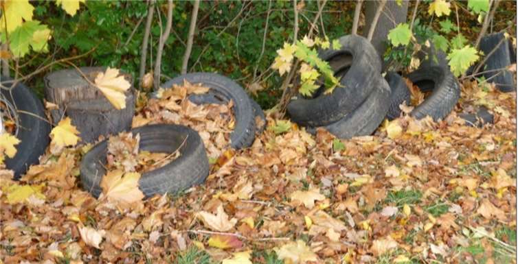 Unbekannte Täter haben mehrere Altreifen am Laacher Graben illegal entsorgt.  Foto: Stadt Mendig
