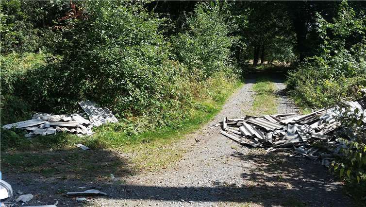 Unbekannte haben Asbestplatten auf einem Waldweg entsorgt. Foto: Polizei