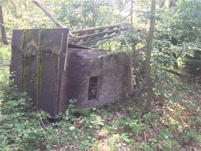 Unbekannte haben einen Hochsitz im Wald bei Bruchhausen zerstört. Foto: Polizei