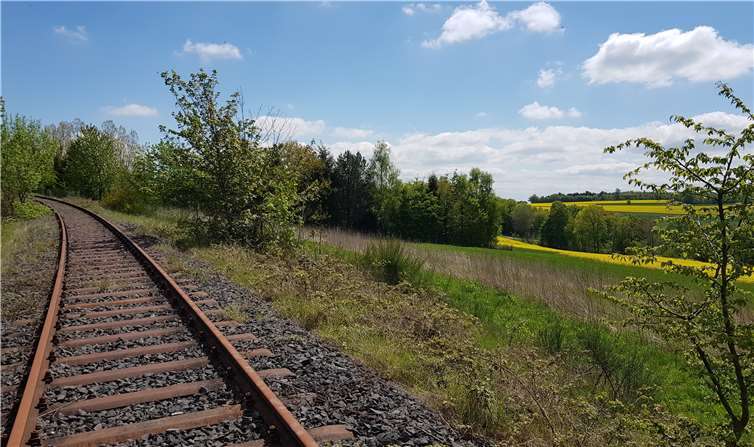 Unbenutzte Gleise der Eifelquerbahn sollenbald der Vergangenheit angehören. Foto: Jens Wießner
