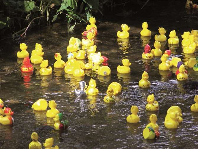 Und wieder werden sich viele kleine Enten beim Burgen- und Parkfes im Wasser tummeln und den Sieger unter sich ausmachen. PS
