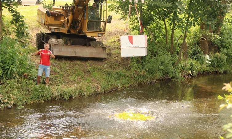 Und zack: Vorsitzender Alfons Schmitt hat die „Reißleine“ gezogen und 500 Plastikenten sind mit einem Schlag in die Ahr gefallen. BÜN