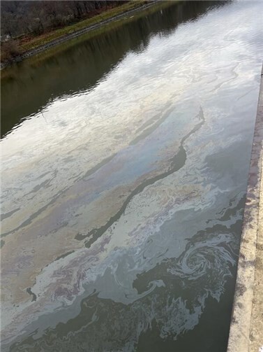 Ungefähr 10 m³ des Gewässers sind verunreinigt. Foto: Polizeipräsidium Einsatz, Logistik und Technik