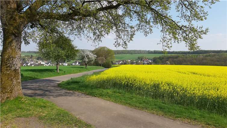 Unser Leser Dietrich Rockenfeller fotografierte das Rapsmeer im Puderbacher Land vom Friedhof in Woldert Richtung Woldert und Puderbach. Foto: Dietrich Rockenfeller