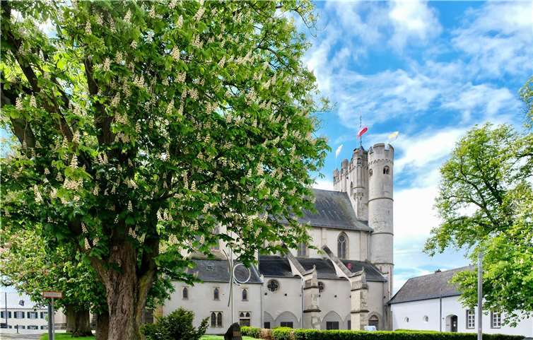Unser Leser Willi Probstfeld fing die Kastanienblüte an der Stiftskirche in Münstermaifeld ein.Foto: Willi Probstfeld/Prowifotos