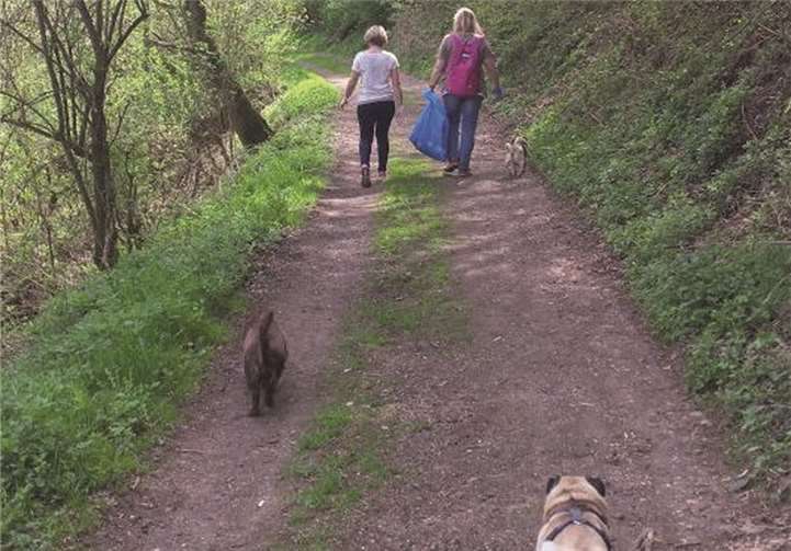 Unsere Abfallspürhunde im Einsatz.