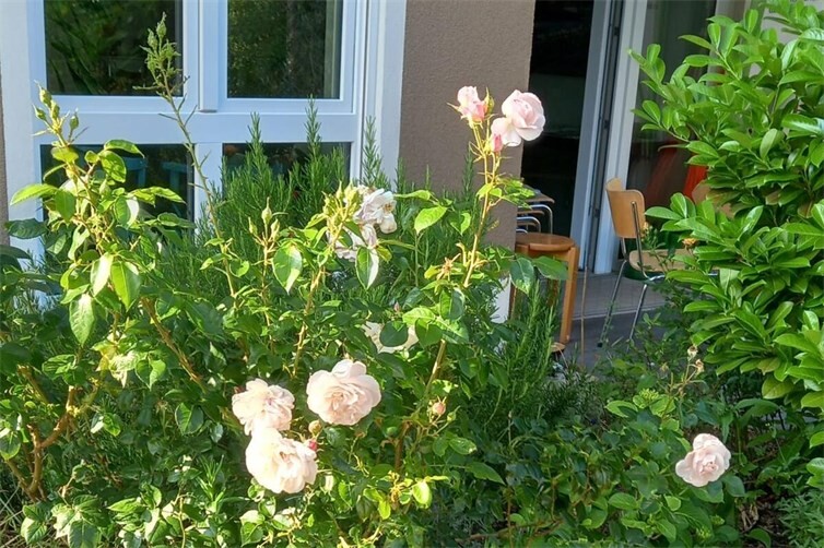Unsere Terrasse