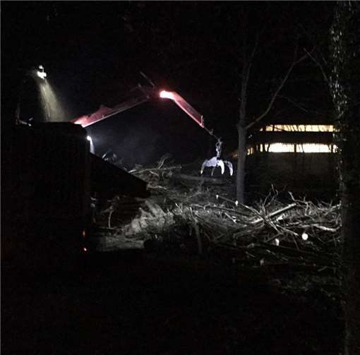 Unter Flutlicht wurde das Gehölz geschreddert und abtransportiert.