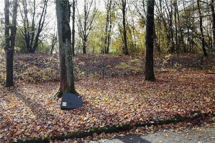 Unter alten Bäumen unter einer weichen Decke aus Gras, Moos und Laub die letzte Ruhestätte finden: Das ist jetzt auf dem Hauptfriedhof in Montabaur möglich.Foto: privat