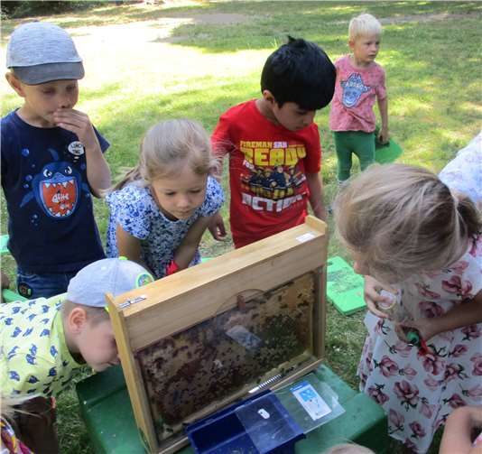 Unter anderem der Glasschaukasten weckte das Interesse der Kinder. Foto: privat