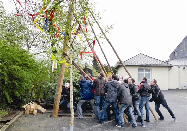 Unter dem Beifall der Zuschauer stellten die Männer den Maibaum einer alten Tradition folgend mit Hilfe von sogenannten „Schwalben“ auf. FRE