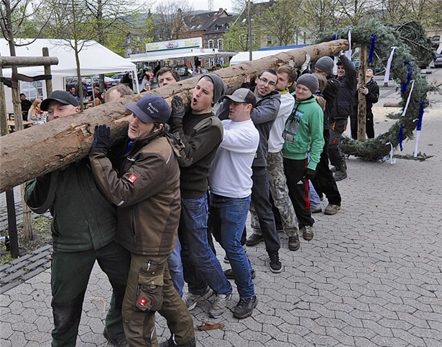 Unter dem Kommando von Schultes Christian Gemke wurde ein der Oberhut der Maibaum aufgestellt. -FIX-