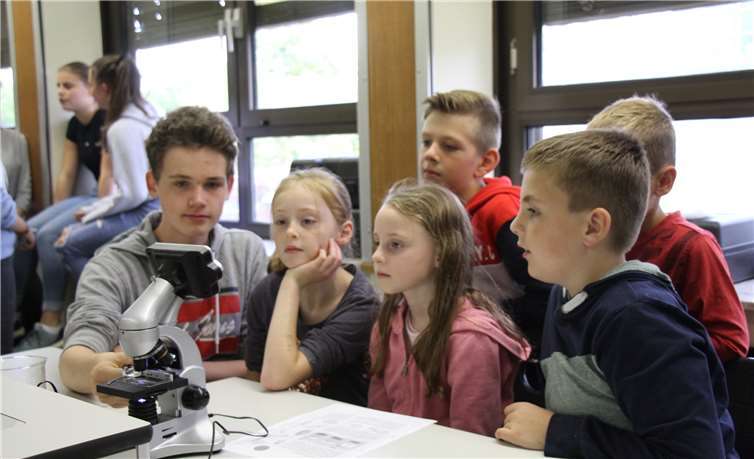 Unter dem Mikroskop wird Teichwasser betrachtet.Fotos: Claudia Spittel