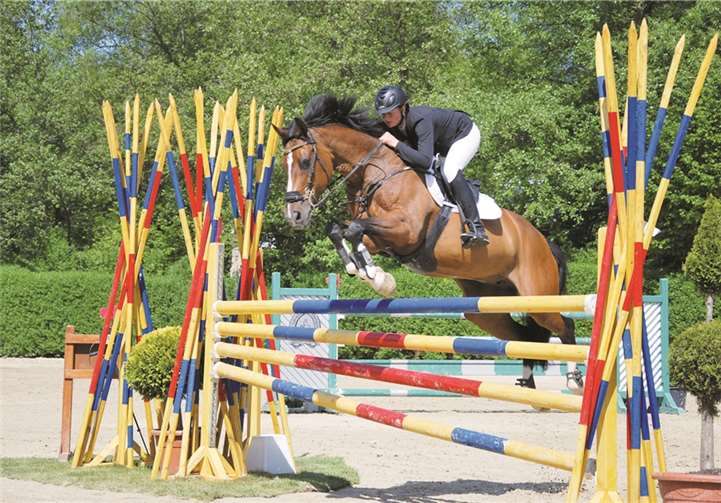 Unter dem Motto „Generationenturnier“ verbindet der Verein Turnierreiten als Sport für Jung und Alt am 12. und 13. September. privat