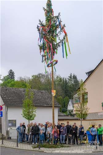 Unter dem Motto „Klein aber Fein“ wurde der Maibaum in Gimmigen von Helfern der Bürgergesellschaft Gimmigen ausgesucht und mitten im Dorf aufgestellt. Foto: Wolfgang Lingen
