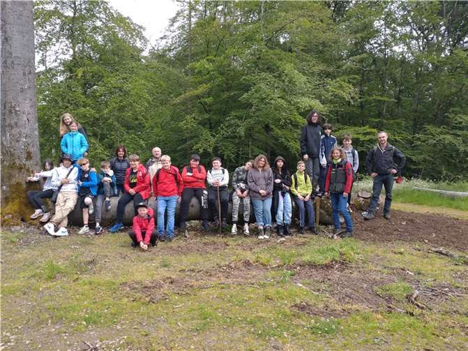Unter der Leitung der Försterin Beate Werner erhielten die Schülerinnen und Schüler dabei einen Einblick in das Ökosystem Wald und meisterten dort vielfältige Aufgaben.Foto: Christina Rakow