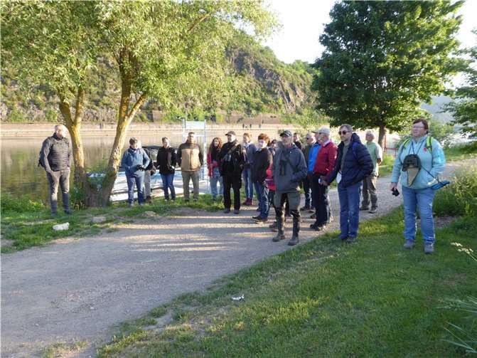 Unter der Leitung des Landeskoordinators für das Vogelmonitoring, Dr. Christian Dietzen, begaben sich die Wanderer kurz nach Sonnenaufgang auf die Pirsch nach Vogelstimmen.  Foto: privat