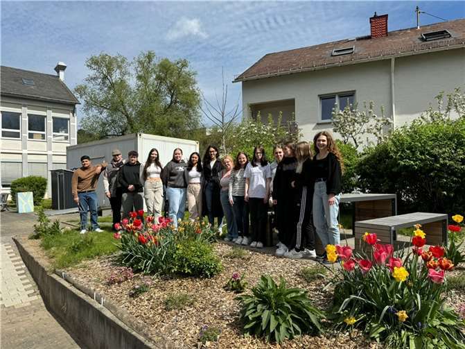 Unter der Leitung von Biologielehrerin Marie Weber (re.) haben die Berufsbildenden Schulen II für Pflege und Wirtschaft und die Berufsbildende Schule I für Technik gemeinsam daran gearbeitet, tierisches Leben in die Beete zu bringen. Quelle: BBS Mayen