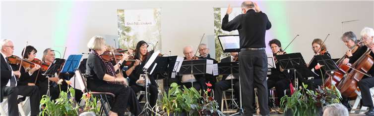 Unter der Leitung von Paul Lauwers wird das Arche-Orchester ein abwechslungsreiches Programm bieten. privat