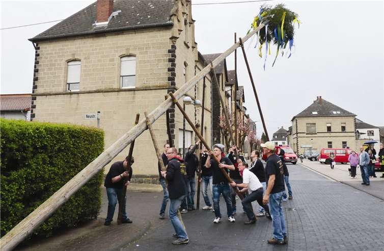 Unter der fachkundigen Anweisung von Dirk Mohr wurde der Baum an seinem Stammplatz aufgerichtet. FRE