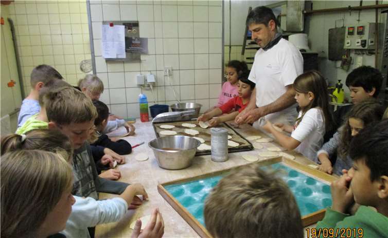 Unter fachkundiger Anleitung lernten die Kinder, wie aus Mehl Teig und schließlich fertige Brötchen werden.