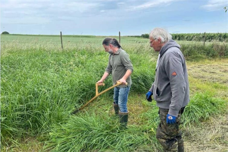 Unter fachkundiger Anleitung wird die Wiese gemäht