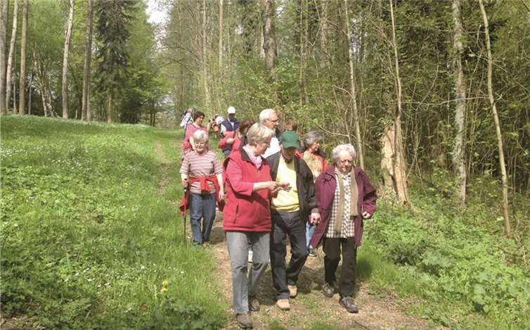 Unter fachkundiger Leitung gab es Vieles zu entdecken.privat