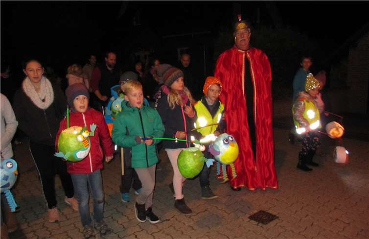 Unter großer Beteiligung von Jung und Alt zog der Martinszug durch Roniger Hof. privat