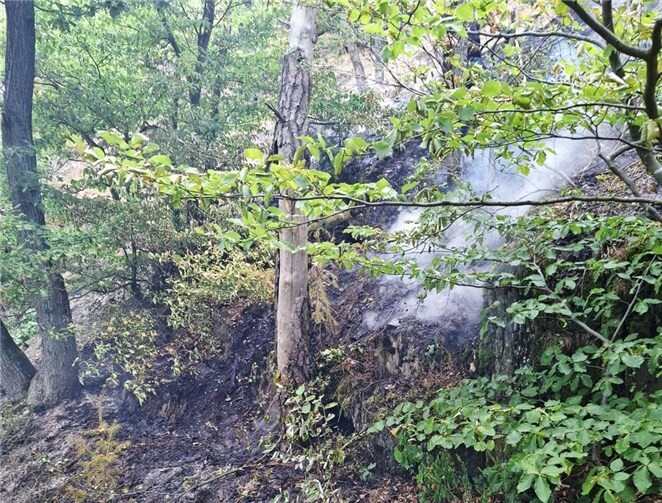 Unterhalb der Schrockhütte in einem äußerst steilen und nur schwer zugänglichen Waldhang am Rande des Naturschutzgebiets Langfigtal hatte sich auf einer Fläche von rund 50 Quadratmetern der Waldboden und die Vegetation entzündet und glimmten bereits großflächig.  Foto: Florian Ulrich / FFW VG Altenahr