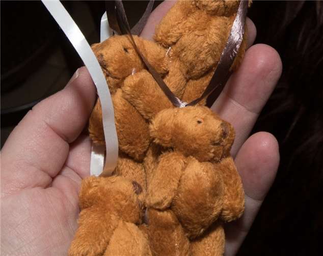 Unterstützer erhielten kleine Bären als Orden.