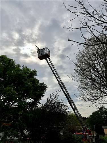 Unterstützt wurde die Feuerwehr Roßbach/Wied dieses Jahr von den Kameraden des Löschzuges Waldbreitbach mit der dort stationierten Drehleiter.